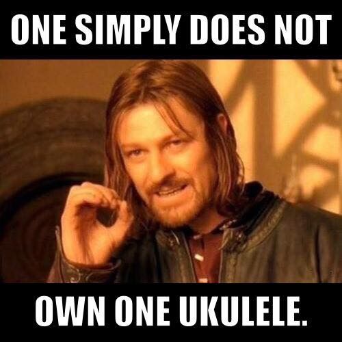 reagere udpege Min Fun Ukulele Pictures (Memes) | The Phoenix Ukulele Group